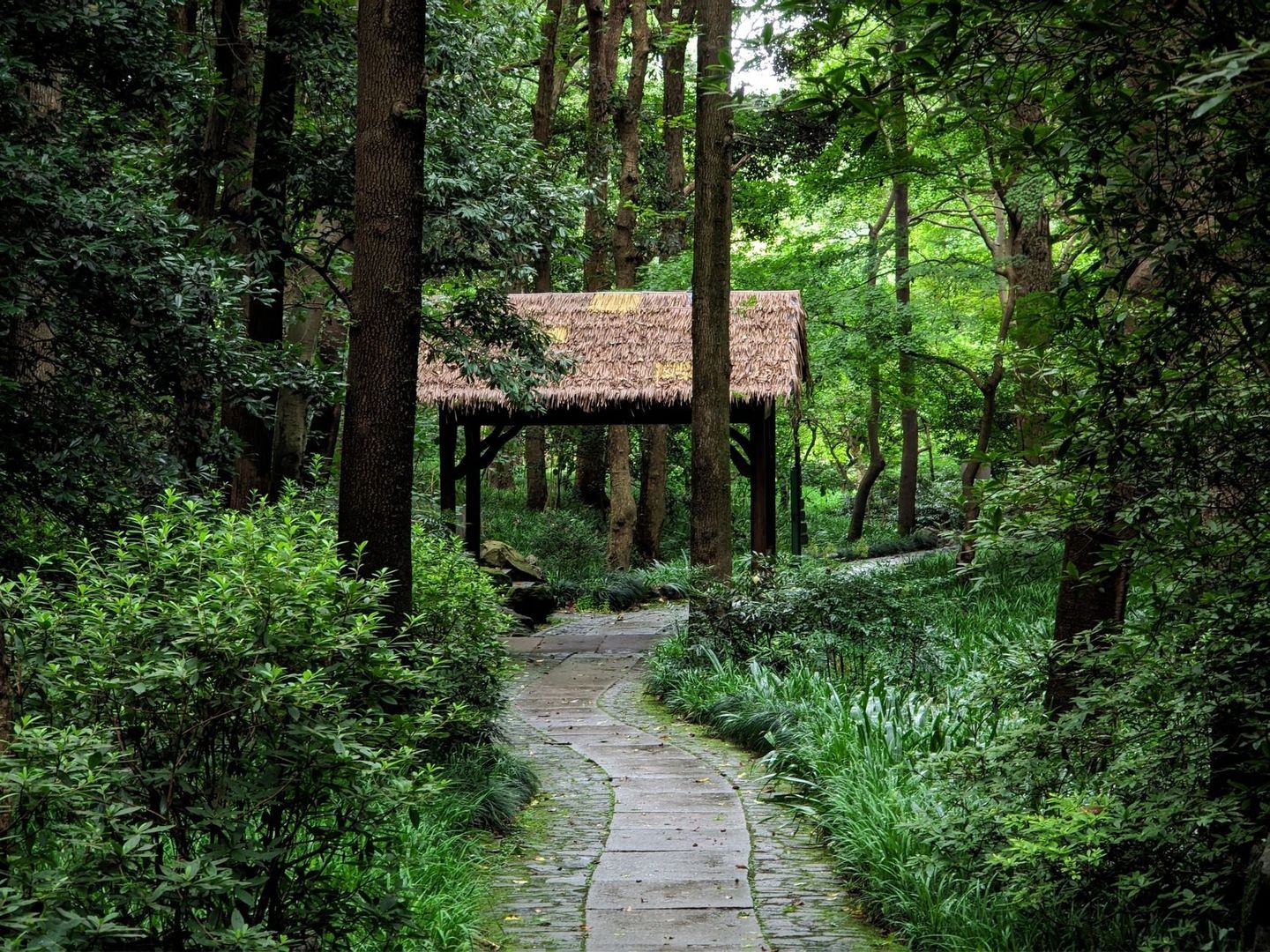 Sentier dallé traversant un sous-bois dense vers un abri au toit de chaume